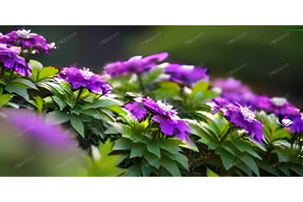 武汉禾悦酒店桑拿，养生之旅尽享舒适时光